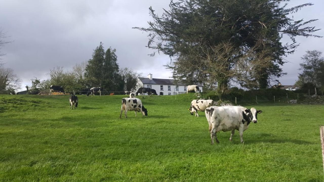 Gortamullen House, Kenmare Bed & Breakfast Exterior photo