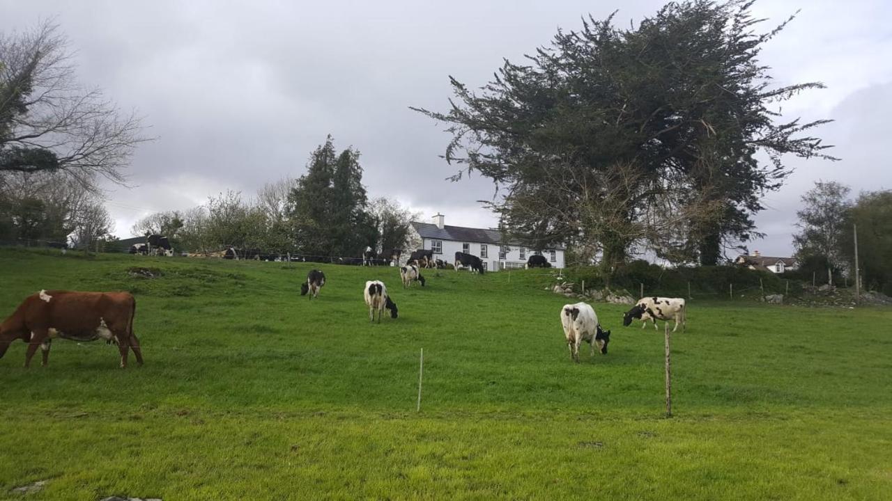 Gortamullen House, Kenmare Bed & Breakfast Exterior photo